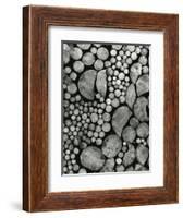 Stacked Wood, c.1970-Brett Weston-Framed Photographic Print