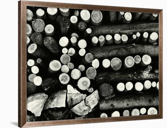 Stacked Wood, Europe, 1972-Brett Weston-Framed Photographic Print