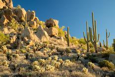 Sonoran Desert Landscape-Stacy Funderburke-Framed Photographic Print
