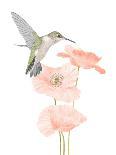 Hummingbird Garden-Stacy Hsu-Art Print