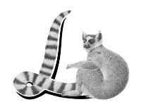 N is for Numbat-Stacy Hsu-Art Print