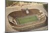 Stadium, Notre Dame, South Bend, Indiana-null-Mounted Art Print