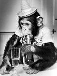 A Chimpanzee playing a round of golf-Staff-Photographic Print