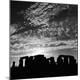 Photographic Print