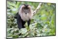 Premium Photographic Print