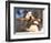 Staffordshire Bull Terrier Carrying Stick in Its Mouth-Adriano Bacchella-Framed Premium Photographic Print