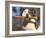 Staffordshire Bull Terrier Carrying Stick in Its Mouth-Adriano Bacchella-Framed Photographic Print