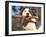 Staffordshire Bull Terrier Carrying Stick in Its Mouth-Adriano Bacchella-Framed Photographic Print