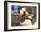 Staffordshire Bull Terrier Carrying Stick in Its Mouth-Adriano Bacchella-Framed Photographic Print