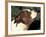 Staffordshire Bull Terrier Looking Up-Adriano Bacchella-Framed Photographic Print