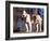 Staffordshire Bull Terrier Portrait-Adriano Bacchella-Framed Photographic Print