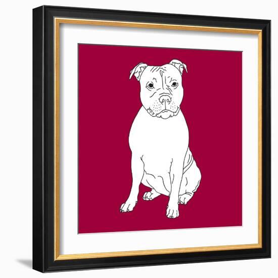 Staffordshire Bull Terrier-Anna Nyberg-Framed Art Print