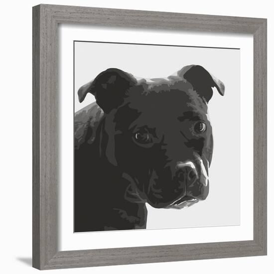 Staffordshire Bull-Emily Burrowes-Framed Giclee Print