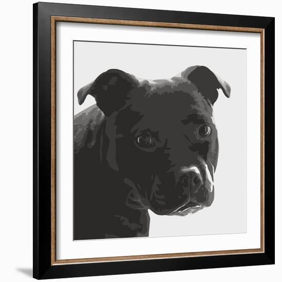 Staffordshire Bull-Emily Burrowes-Framed Giclee Print