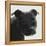 Staffordshire Bull-Emily Burrowes-Framed Stretched Canvas