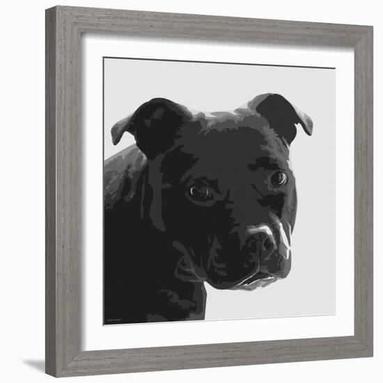 Staffordshire Bull-Emily Burrowes-Framed Art Print