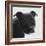 Staffordshire Bull-Emily Burrowes-Framed Art Print