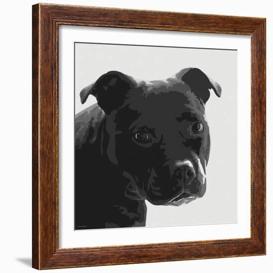 Staffordshire Bull-Emily Burrowes-Framed Art Print