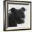 Staffordshire Bull-Emily Burrowes-Framed Art Print