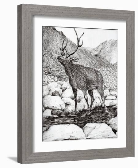 Stag, 2011-Vincent Alexander Booth-Framed Giclee Print