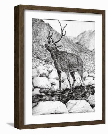 Stag, 2011-Vincent Alexander Booth-Framed Giclee Print