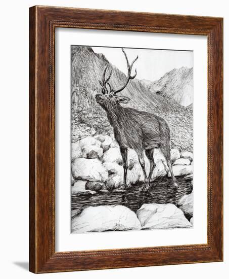 Stag, 2011-Vincent Alexander Booth-Framed Giclee Print