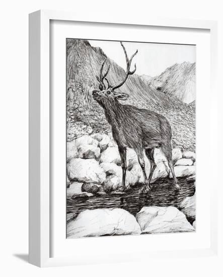 Stag, 2011-Vincent Alexander Booth-Framed Giclee Print