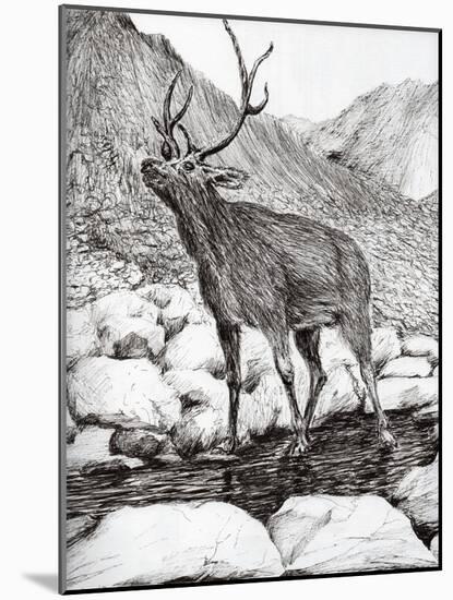 Stag, 2011-Vincent Alexander Booth-Mounted Giclee Print