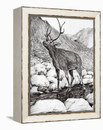 Stag, 2011-Vincent Alexander Booth-Framed Premier Image Canvas