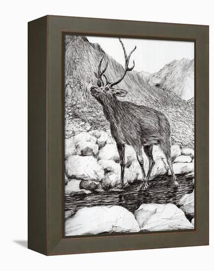 Stag, 2011-Vincent Alexander Booth-Framed Premier Image Canvas