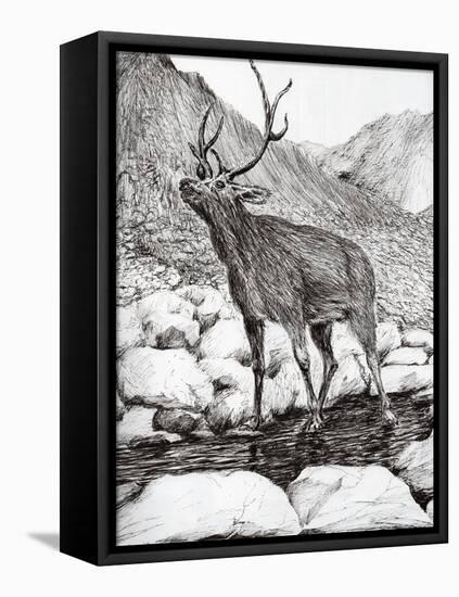 Stag, 2011-Vincent Alexander Booth-Framed Premier Image Canvas