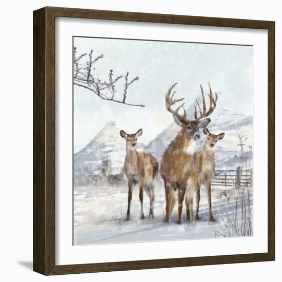 Stag And Females-Clare Davis London-Framed Giclee Print