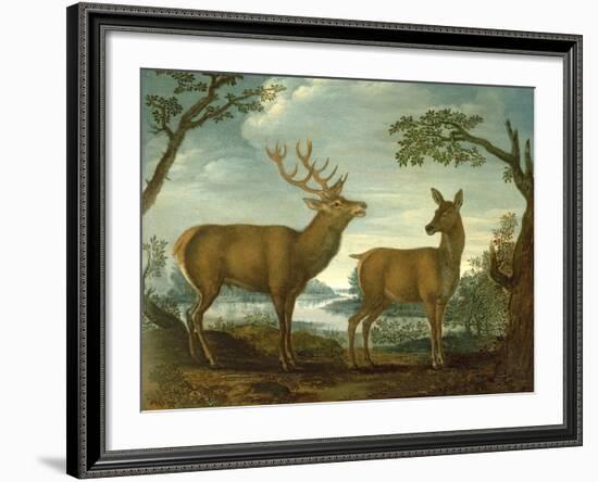 Stag and Hind in a Wooded Landscape-null-Framed Giclee Print