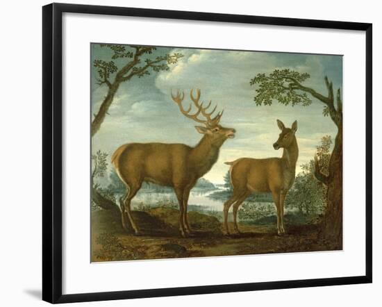 Stag and Hind in a Wooded Landscape-null-Framed Giclee Print