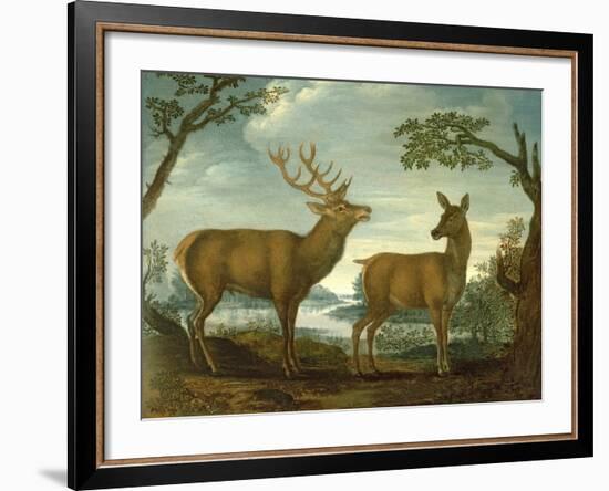 Stag and Hind in a Wooded Landscape-null-Framed Giclee Print
