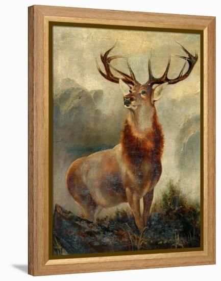 Stag At Bay-James Ford-Framed Premier Image Canvas