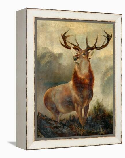 Stag At Bay-James Ford-Framed Premier Image Canvas