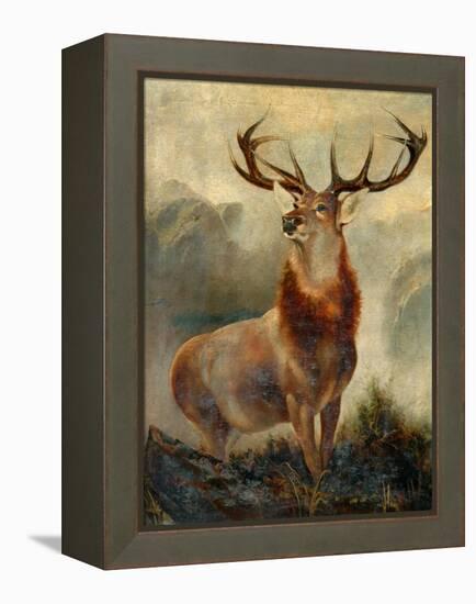 Stag At Bay-James Ford-Framed Premier Image Canvas