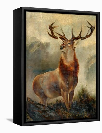 Stag At Bay-James Ford-Framed Premier Image Canvas