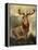 Stag At Bay-James Ford-Framed Premier Image Canvas