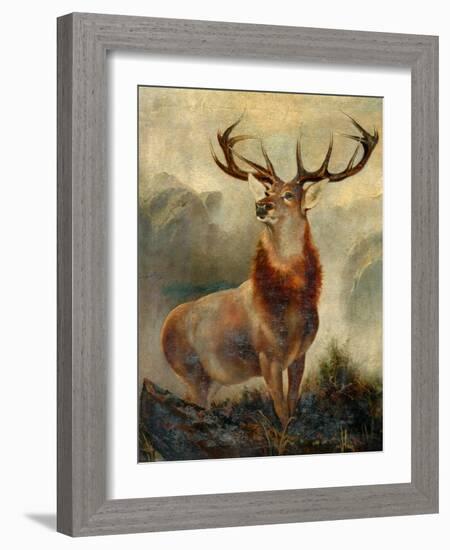 Stag At Bay-James Ford-Framed Giclee Print