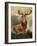 Stag At Bay-James Ford-Framed Giclee Print