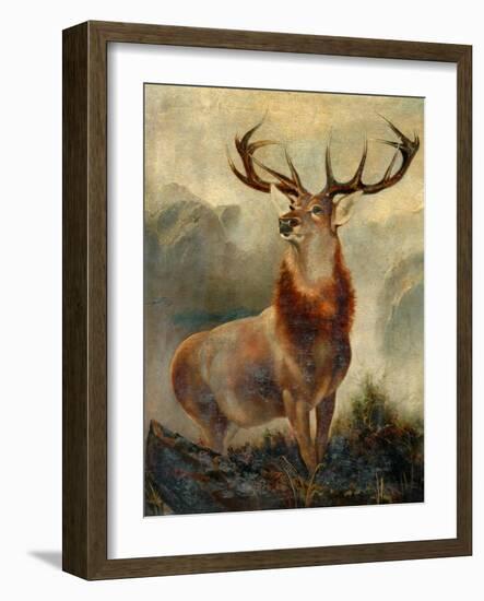 Stag At Bay-James Ford-Framed Giclee Print