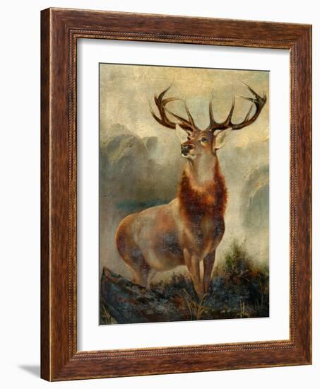 Stag At Bay-James Ford-Framed Giclee Print