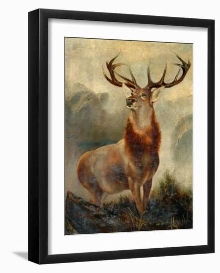 Stag At Bay-James Ford-Framed Giclee Print