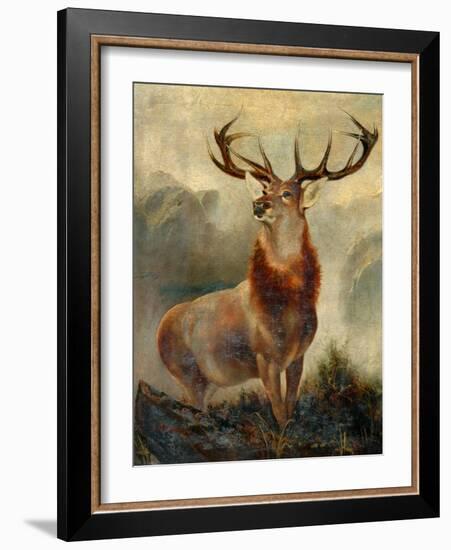 Stag At Bay-James Ford-Framed Giclee Print