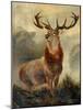 Stag At Bay-James Ford-Mounted Giclee Print