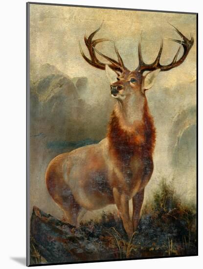 Stag At Bay-James Ford-Mounted Giclee Print