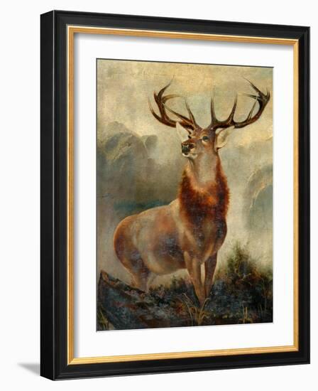 Stag At Bay-James Ford-Framed Giclee Print