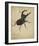 Stag Beetle, 1505-Albrecht Durer-Framed Premium Giclee Print